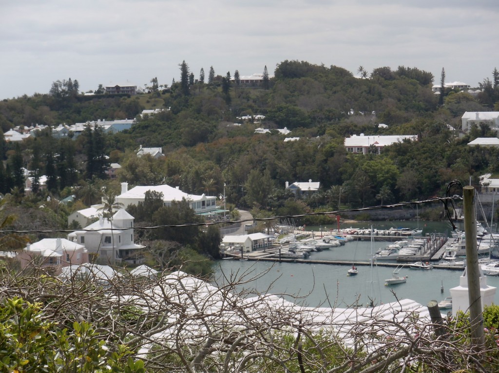 Houses and harbor