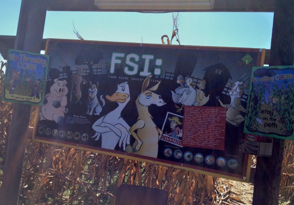 FSI Corn Maze Board