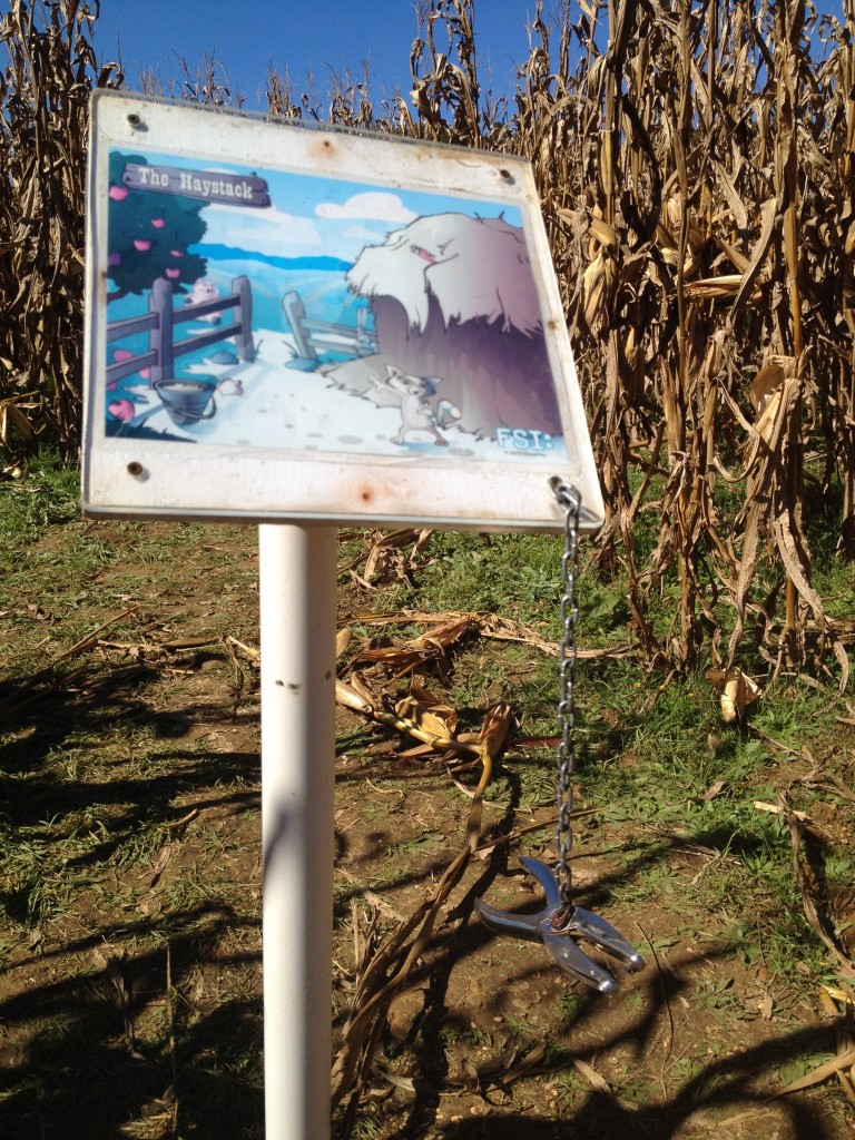 corn maze station