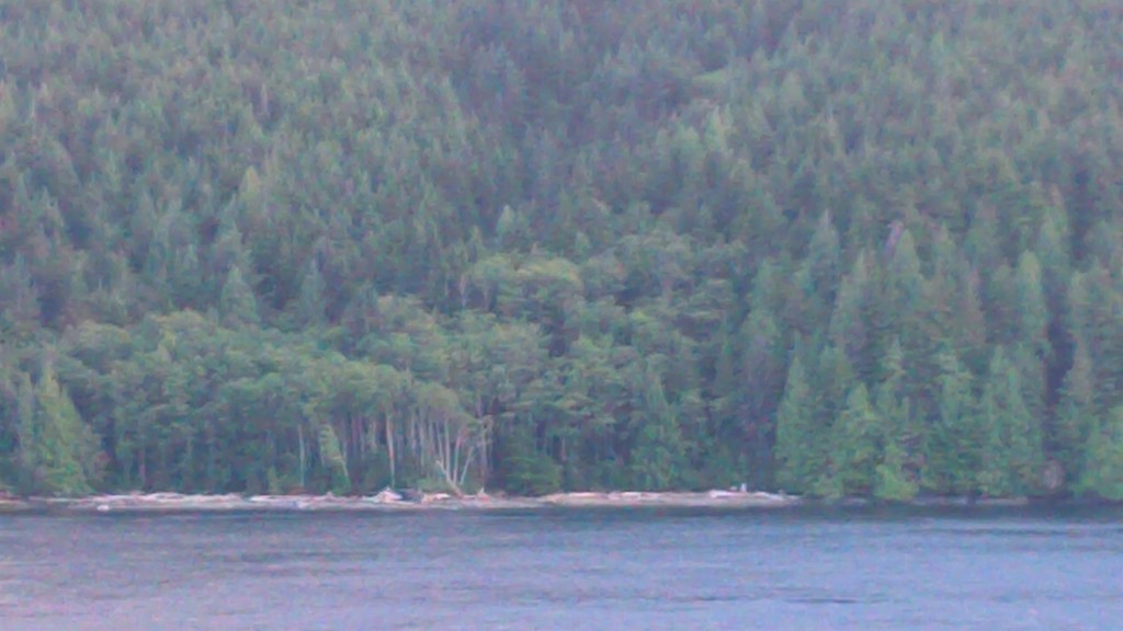 Looks like the kind of rocky beach others have reported witnessing Bigfoot-like creatures walking on, right?