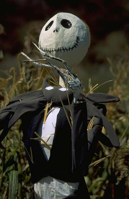 Jack Skellington Stalk