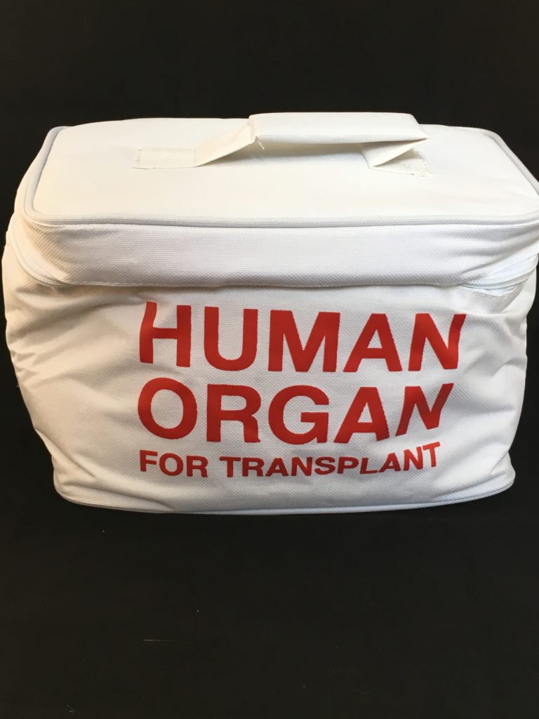 Human organ lunchbox