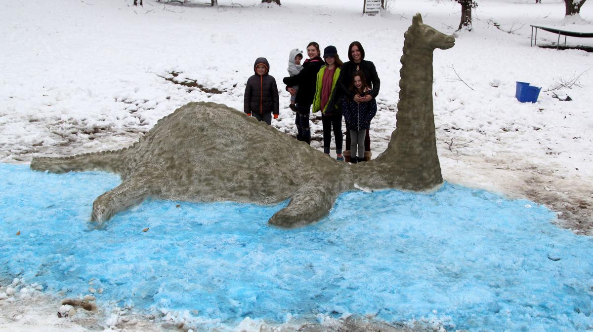 SnowNessie