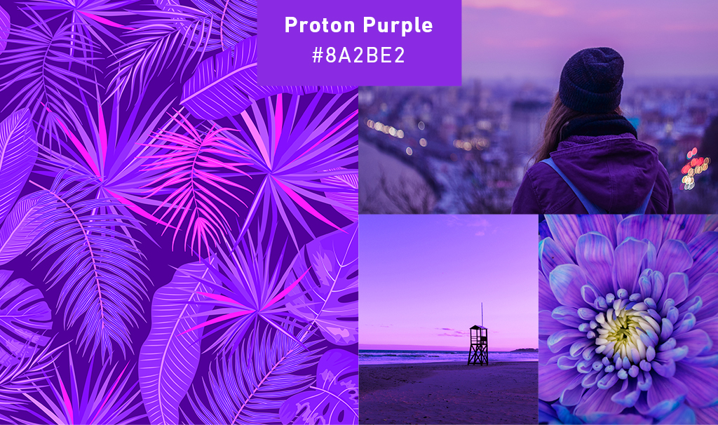 purple-collage
