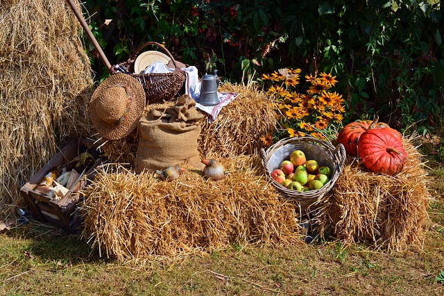 Harvest Festival still life hay bale with crops