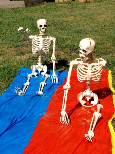 Skeletons on slip and slide