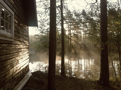 cabin woods lake sunlight