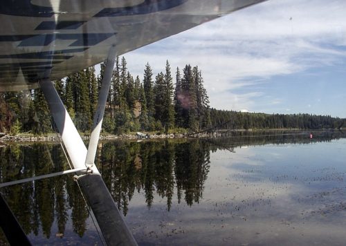 seaplane on lake bordered by forest