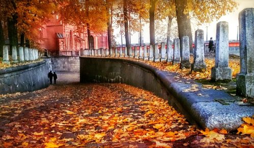 Autumn leaves cemetery path
