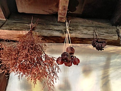 Dried herbs hanging from the ceiling
