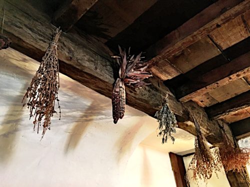 The Witch House Dried herbs