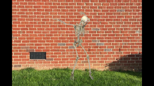 Still image of the dancing skeleton against a brick background