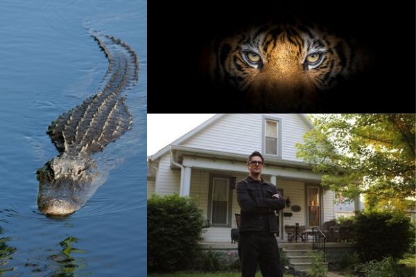 Tiger eyes Zak Bagans and alligator in Tiger King collage