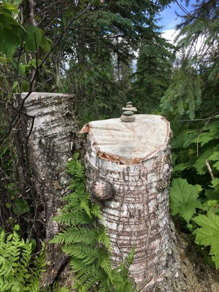 Inukshuk on stump at Mt. McKinley Wilderness Lodge