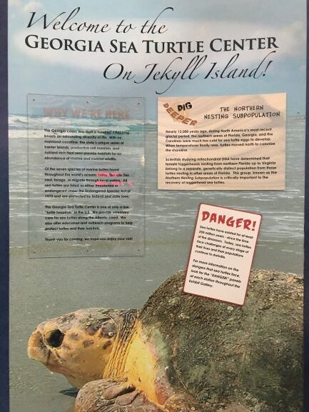 Georgia Sea Turtle Center sign