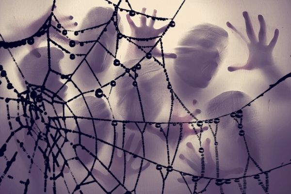 Ghosts caught in web