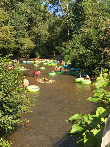 Helen GA tubers