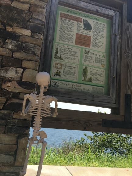 Skeleton reading sign about bear country