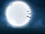 Full moon on Halloween with bats on blue background