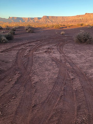 Tire tracks in Utah Red Rock Country