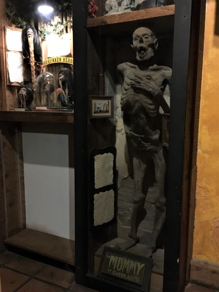 Museum of the Weird Mummy