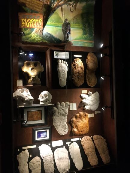 Texas Bigfoot display