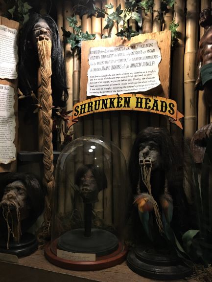 Museum of the Weird shrunken heads