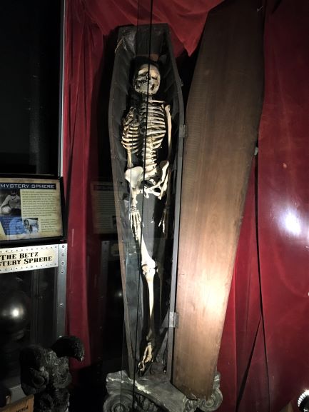 Museum of the Weird skeleton in coffin