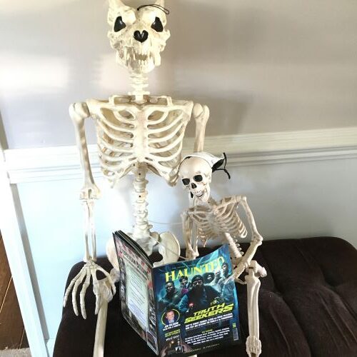 Smalls and Skowls skeleton reading Truth Seekers edition of Haunted Magazine