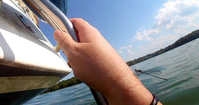 Dragonfly on a hand holding a boat in a lake