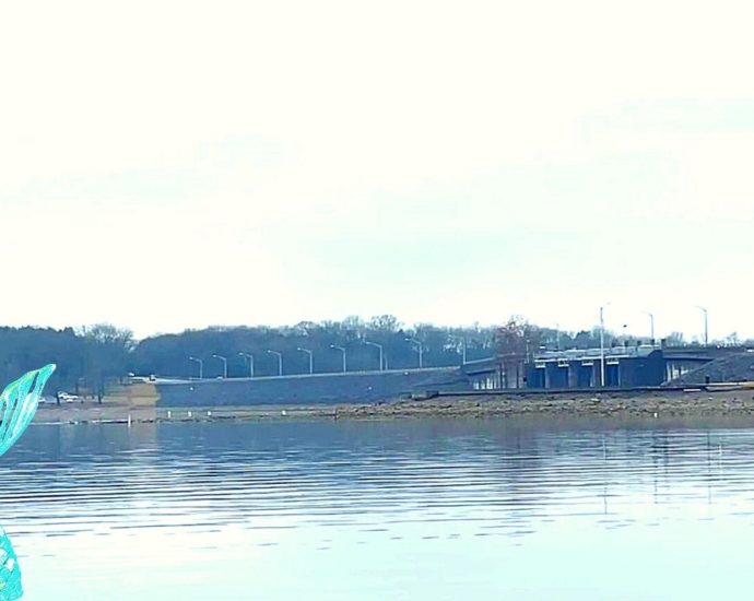 Percy Priest Dam with a mermaid tail