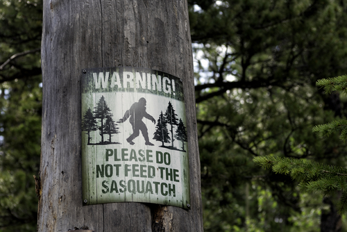 Please do not feed Sasquatch sign