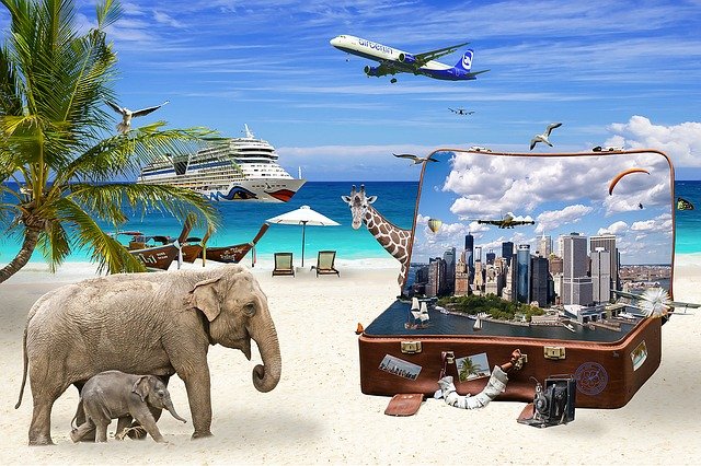 Surreal travel luggage beach safari scene