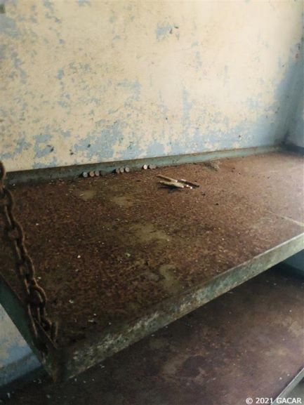 Old Gilchrist Jail cigs and coins on jail bed