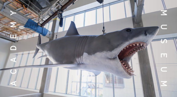 Bruce the Shark in Academy Museum