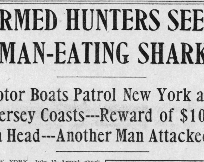 Boston Globe newspaper clipping about 1916 shark attacks