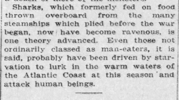 Newspaper clipping with theory about how war affected shark attacks of 1916