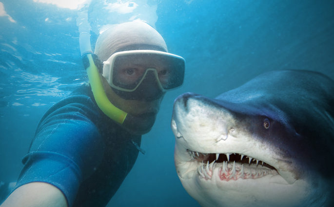 Man snorkeling and taking selfie with a shark