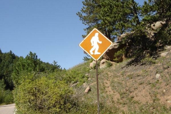 Bigfoot crossing sign on road