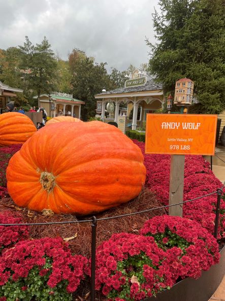 978 pound pumpkin