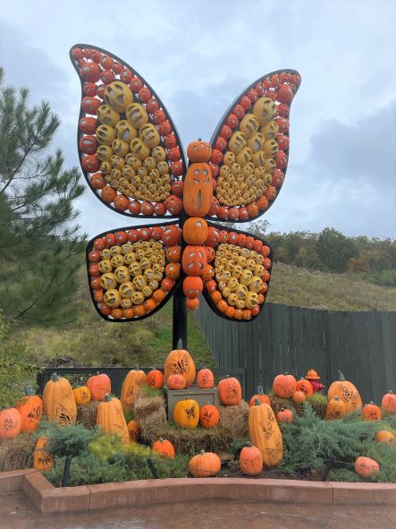 Butterfly pumpkin