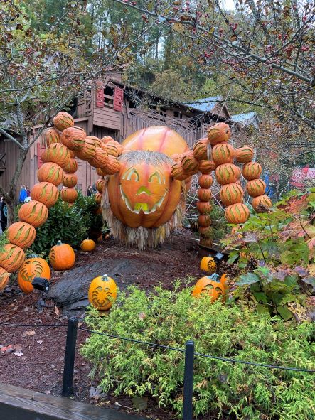 Giant spider pumpkin