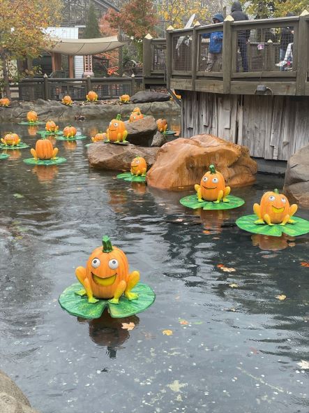 Lily pad frog pumpkins