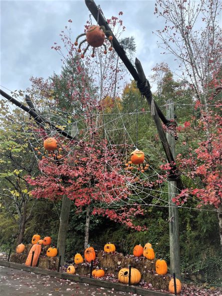 Little spider pumpkins and webs