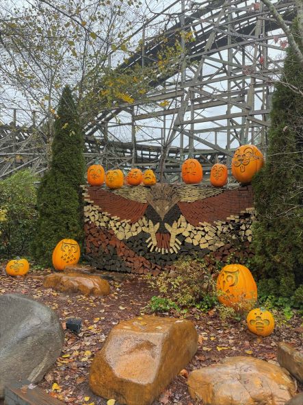 Owl bee cat pumpkins with eagle wood pile