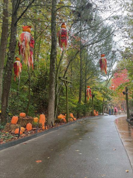 Owl pumpkins hanging from trees