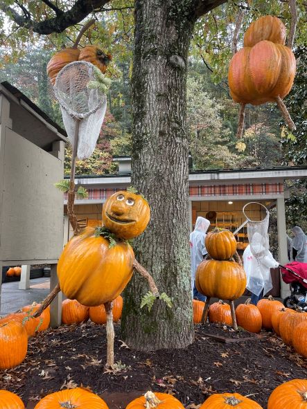 Playful pumpkins with nets another view