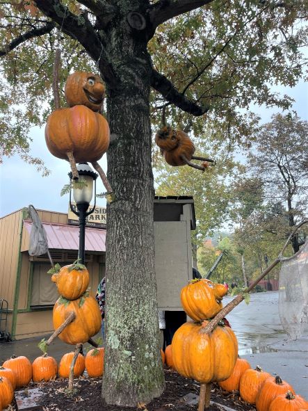 Playful pumpkins with nets