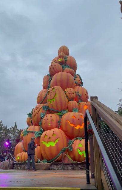 Pumpkin Tree at night with stairs