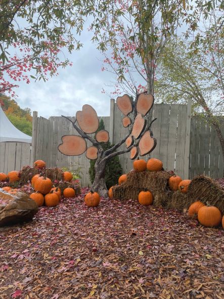 Pumpkins and wood apples